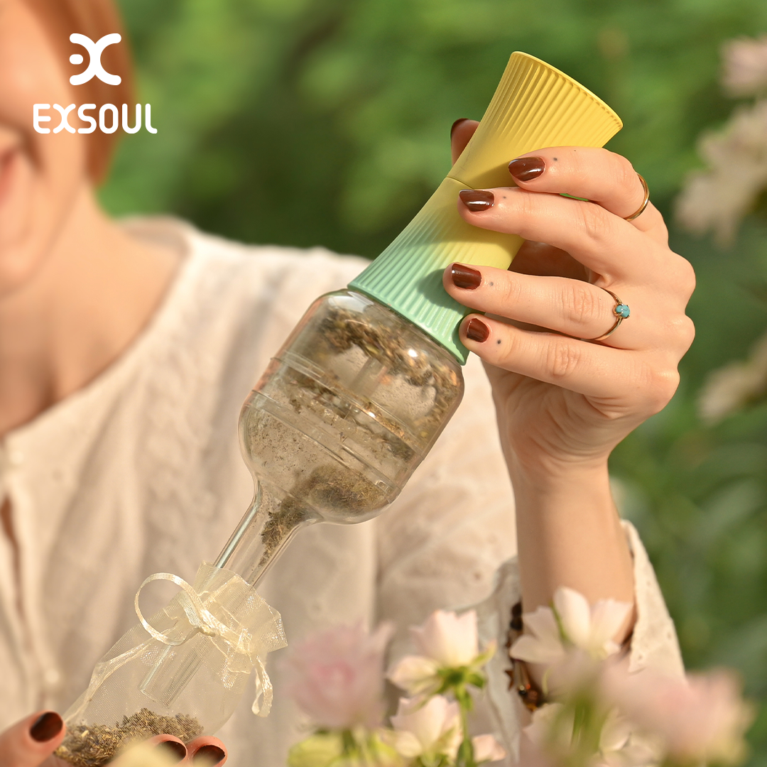 Reserve Your Exsoul Now